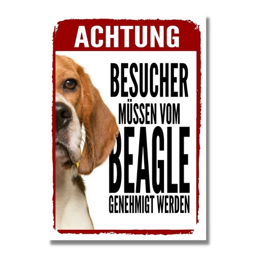 Beagle genehmigung dog schild - dog,