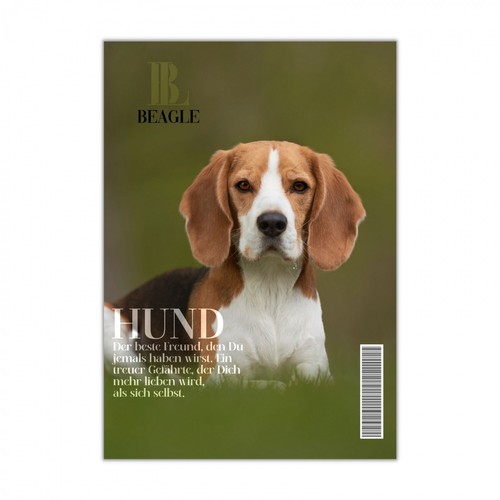Beagle schild dog - schild, magazin
