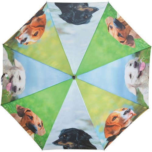 Regenschirm transparent hunde - transparent,