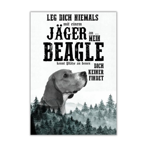 Schild beagle dog - schild, hund