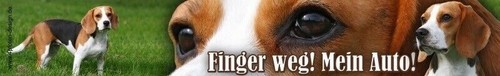 Beagle sticker aufkleber - beagle,