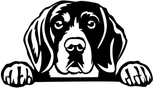 Beagle aufkleber - aufkleber,