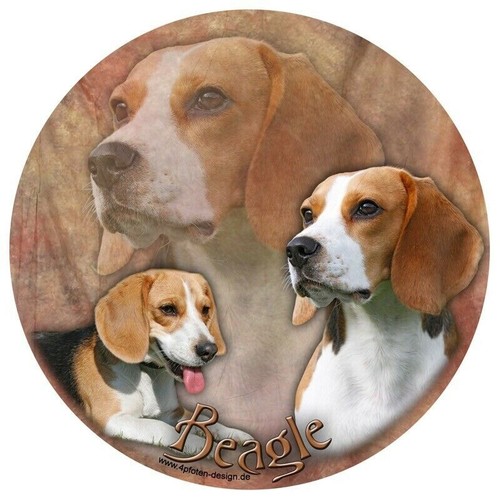 Beagle autoaufkleber aufkleber - autoaufkleber,