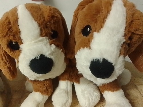 Ikea beagle hund - beagle, valp