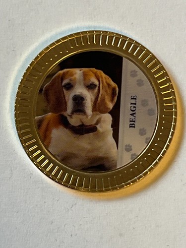 Medaille beliebte hunderassen - beliebte,