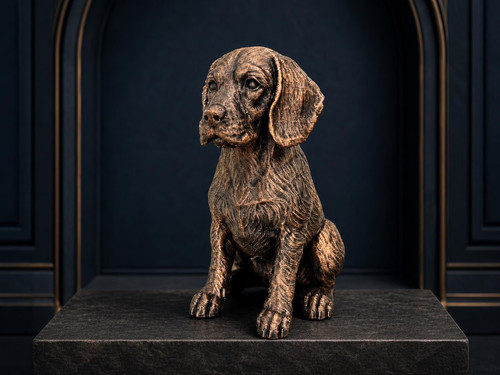 Beagle detailreiche - beagle,