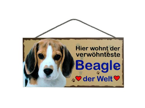 Türschild beagle tierschild - türschild, beagle,