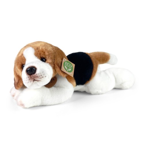 Beagle 31cm 15 cm - h=,