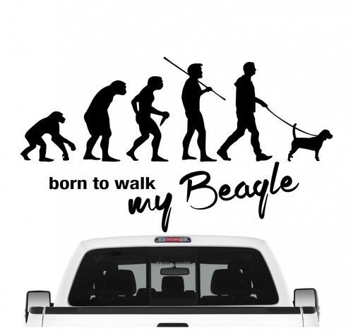 Beagle english - english,