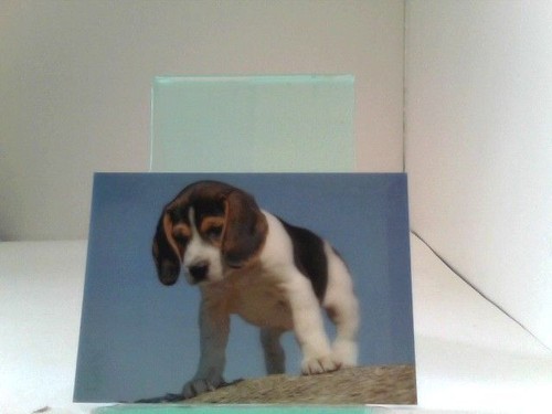 Ansichtskarten postkarten - 3d, ansichtskarten/postkarten