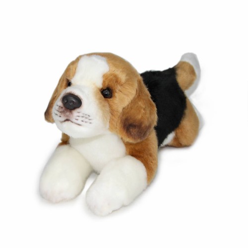 Suki beagle kuscheltier - suki,
