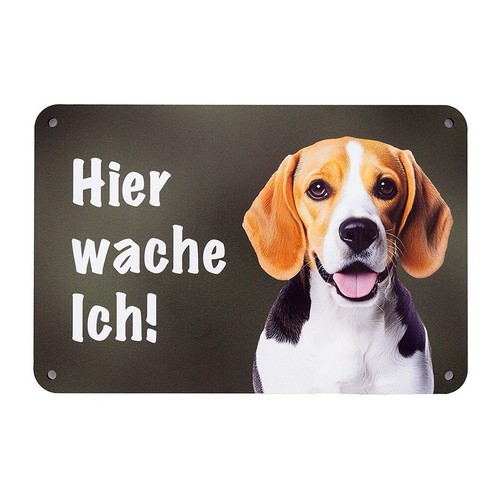 Beagle warnschild hier - beagle,