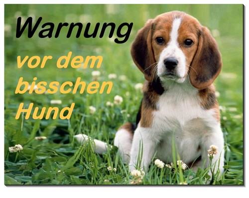 Beagle-Hund-Aluminium-Schild-b