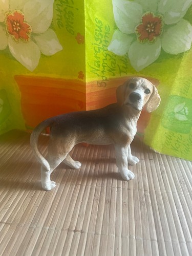 Castagna hund beagle - castagna,