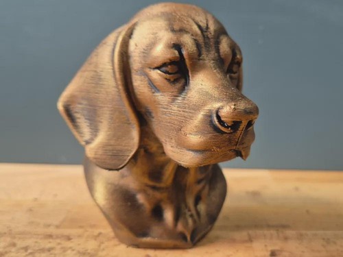 Beagle büste realistic - beagle,