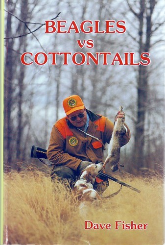 Beagles cottontails - vs,