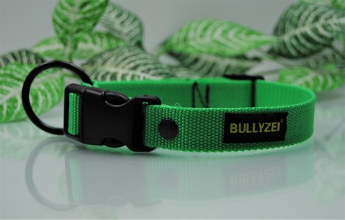 Halsband 25mm neon - 25mm, neon-grün