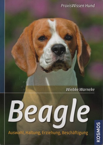 Beagle von wiebke warnecke - ",