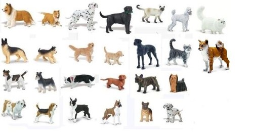 Safari hunde und katzen - und,