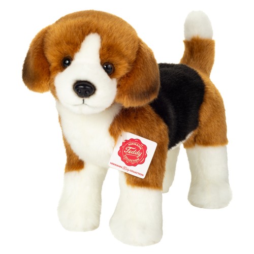 Teddy hermann beagle stehend - hermann,