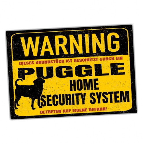 Schild puggle mops beagle - schild,