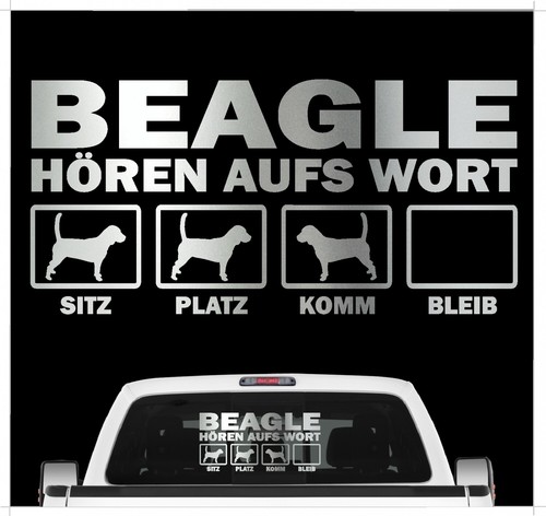 Beagle english beagel hört - english,