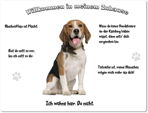 Warnschild 20x30cm - warnschild,